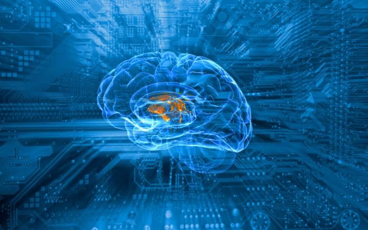 Artificial intelligence: the role of evolution in decision-making