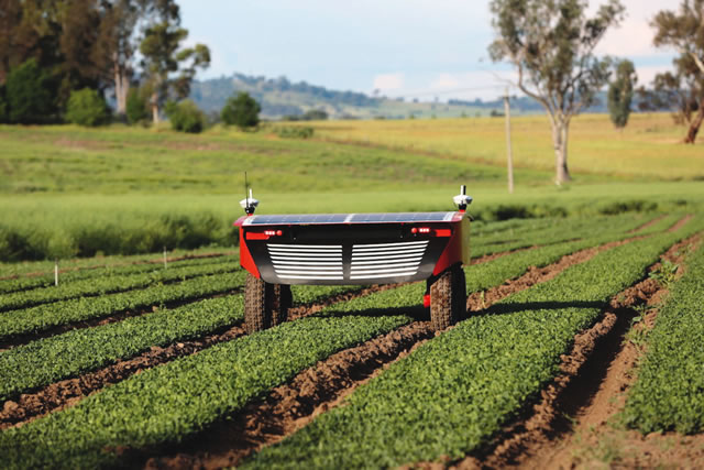 Six amazing artificial intelligence advances in agriculture