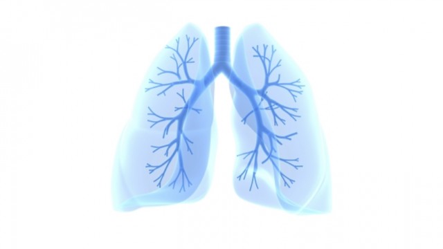 Artificial Intelligence system spots lung cancer before radiologists