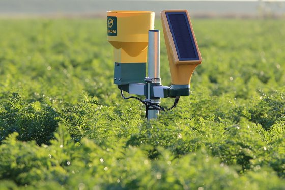 Rapid adoption of artificial intelligence in agriculture