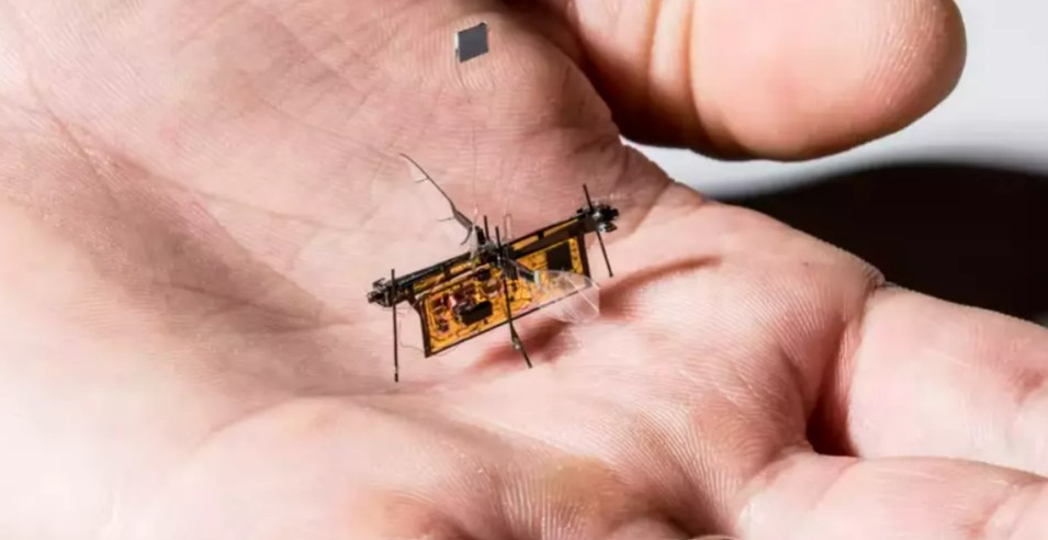 The world tiniest robots